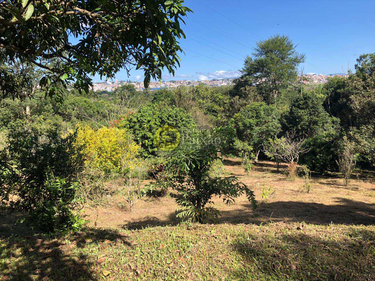 Fazenda à venda com 3 quartos, 42000m² - Foto 21