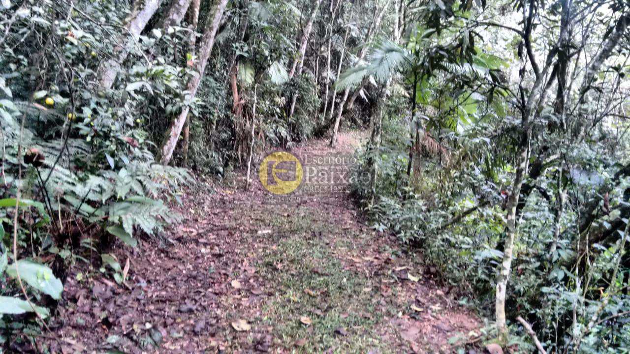 Fazenda à venda com 3 quartos, 42000m² - Foto 8