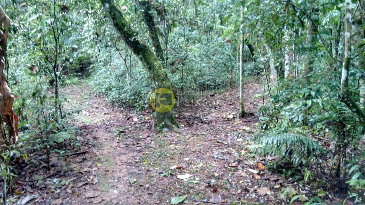 Fazenda à venda com 3 quartos, 42000m² - Foto 6