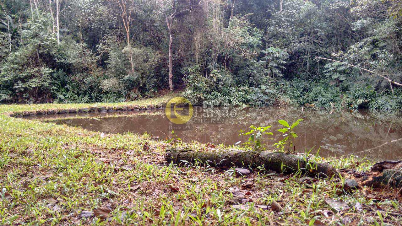 Fazenda à venda com 3 quartos, 42000m² - Foto 5