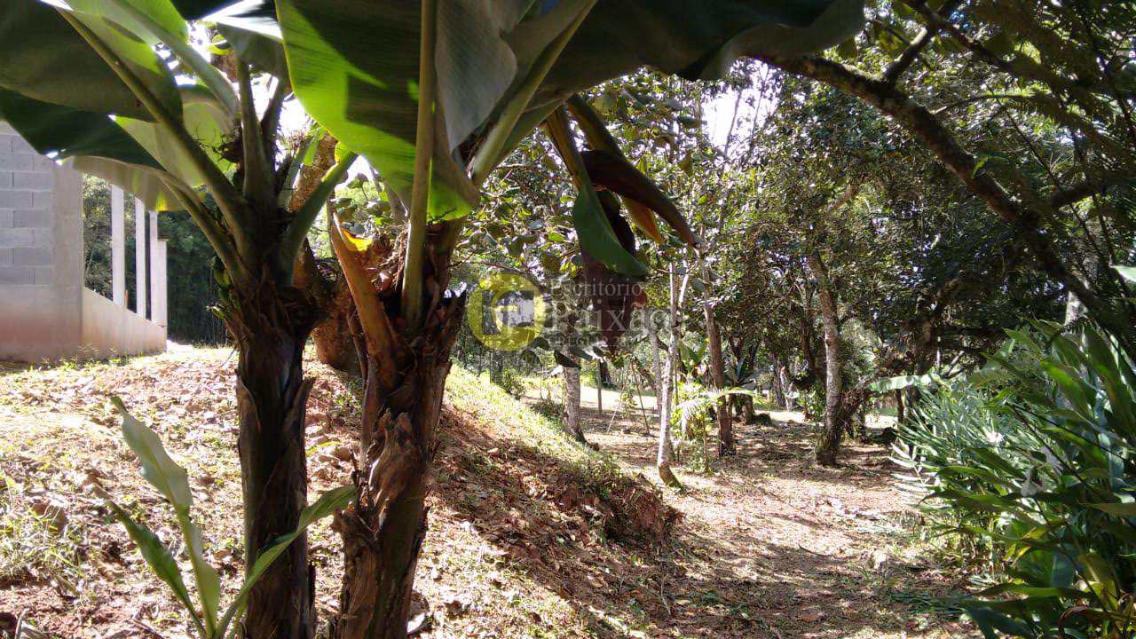 Fazenda à venda com 3 quartos, 42000m² - Foto 20