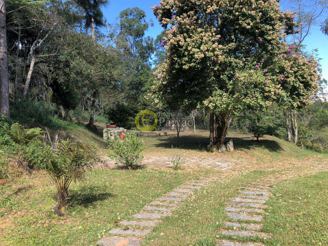 Fazenda à venda com 3 quartos, 42000m² - Foto 14