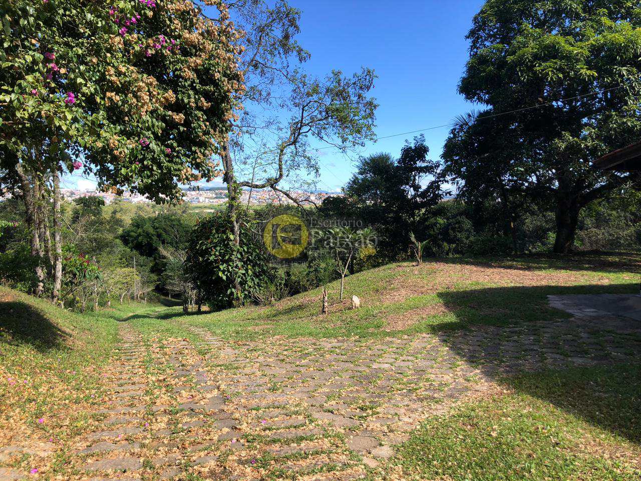 Fazenda à venda com 3 quartos, 42000m² - Foto 17