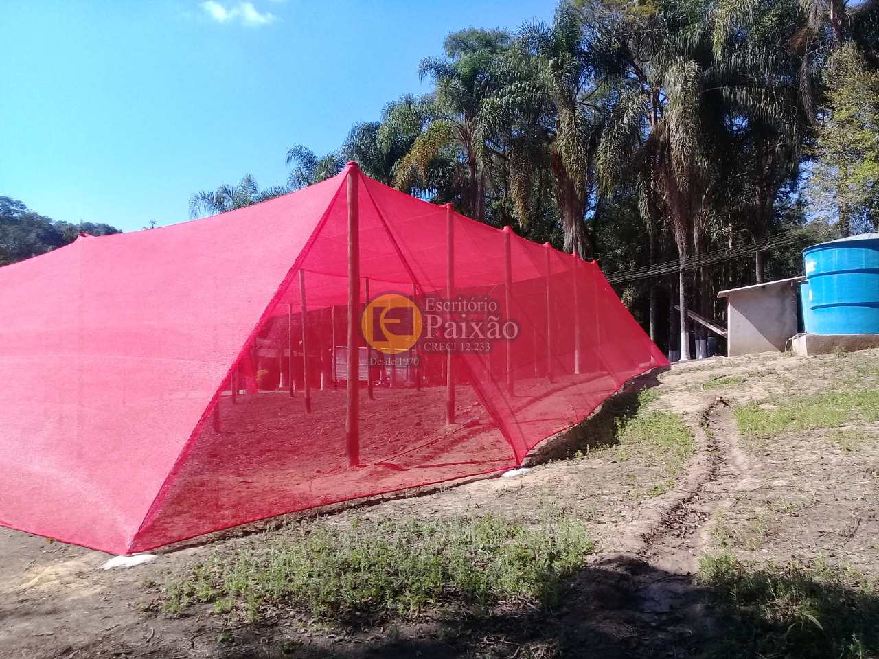 Fazenda à venda com 2 quartos, 12100m² - Foto 10