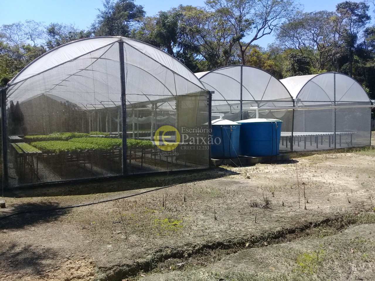 Fazenda à venda com 2 quartos, 12100m² - Foto 6