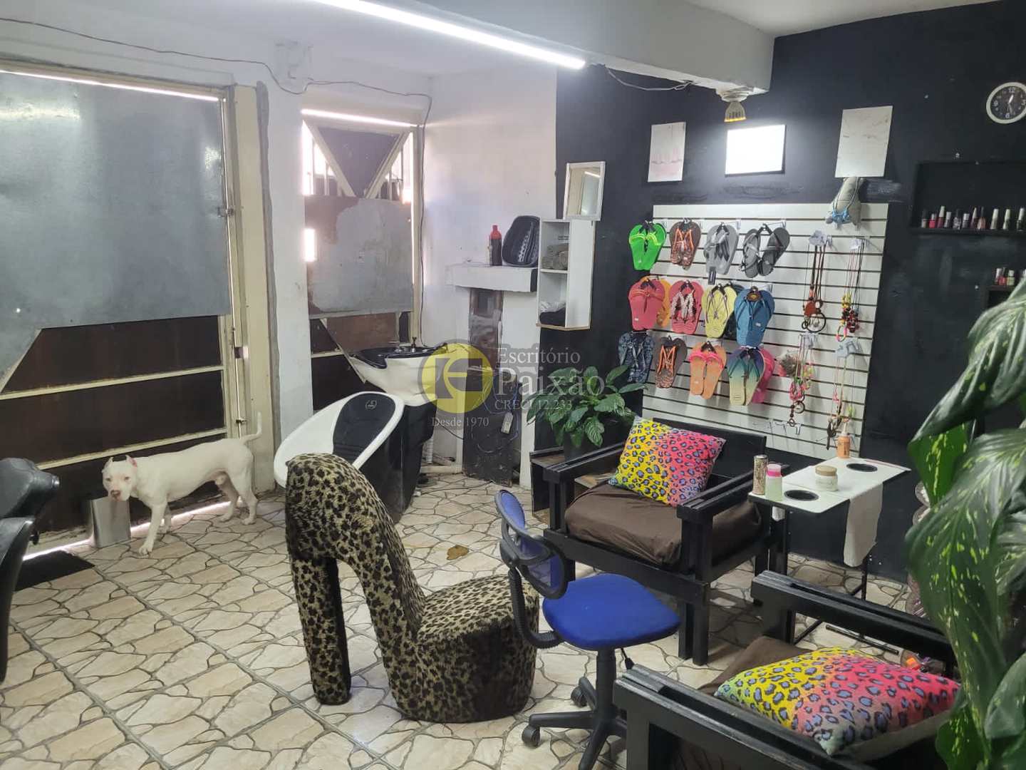 Sobrado à venda com 4 quartos, 125m² - Foto 5