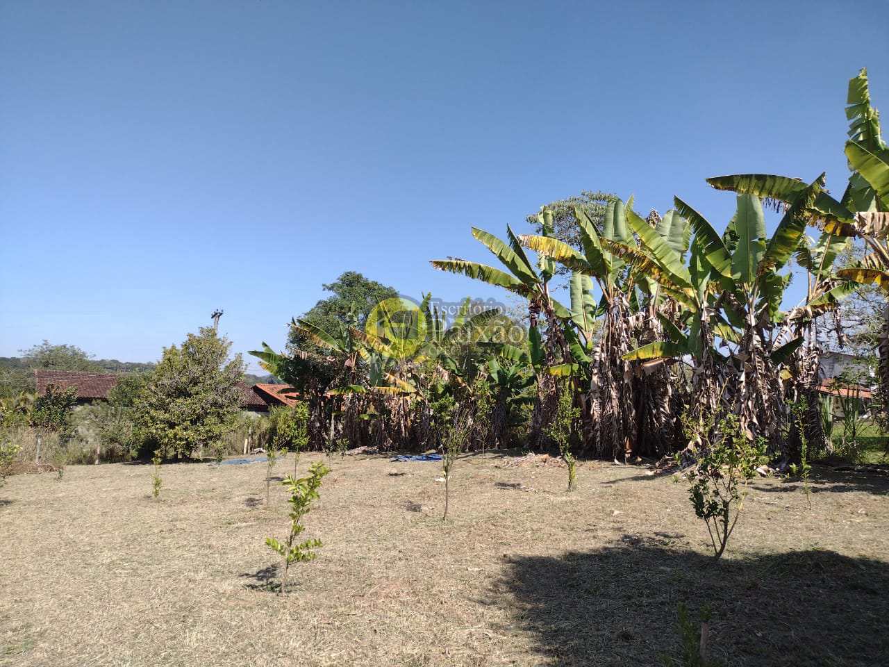 Fazenda à venda com 5 quartos, 10000m² - Foto 53