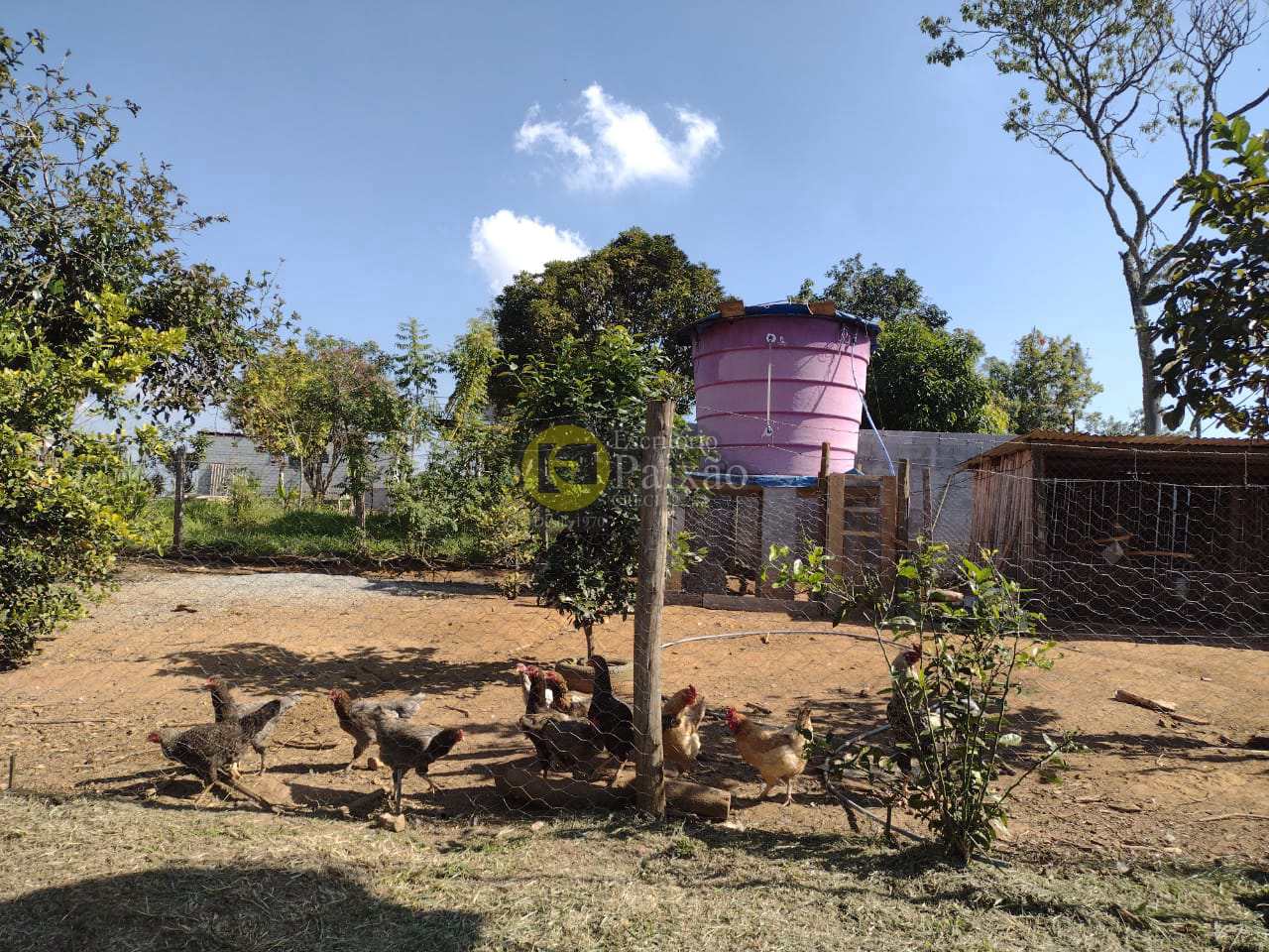 Fazenda à venda com 5 quartos, 10000m² - Foto 47