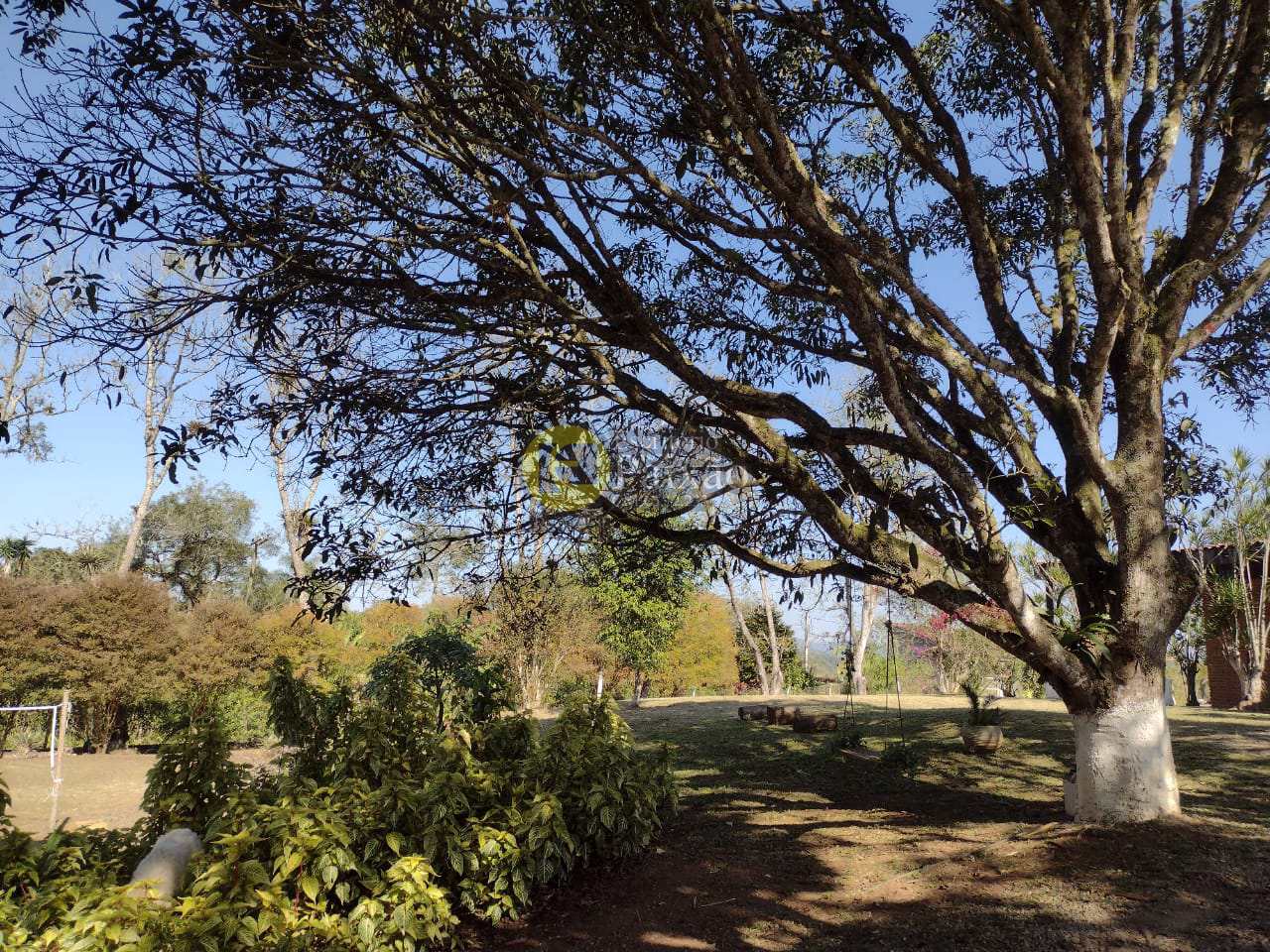 Fazenda à venda com 5 quartos, 10000m² - Foto 31