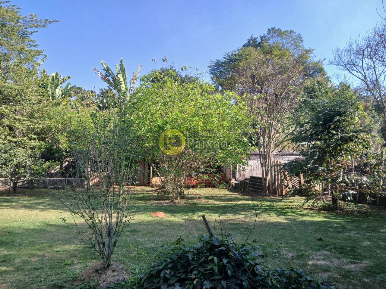 Fazenda à venda com 5 quartos, 3240m² - Foto 49