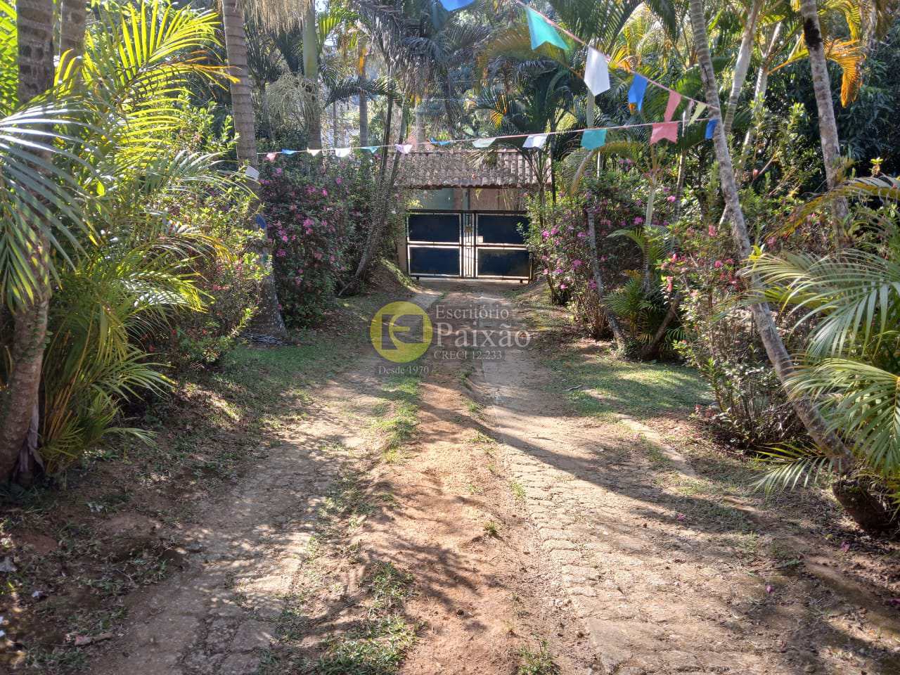 Fazenda à venda com 5 quartos, 3240m² - Foto 53