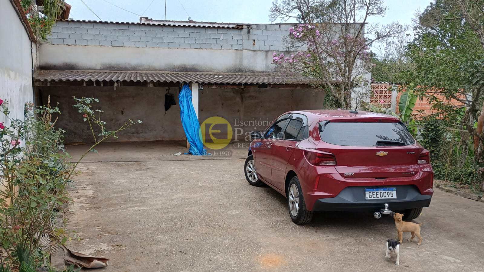 Fazenda à venda com 2 quartos, 1000m² - Foto 13