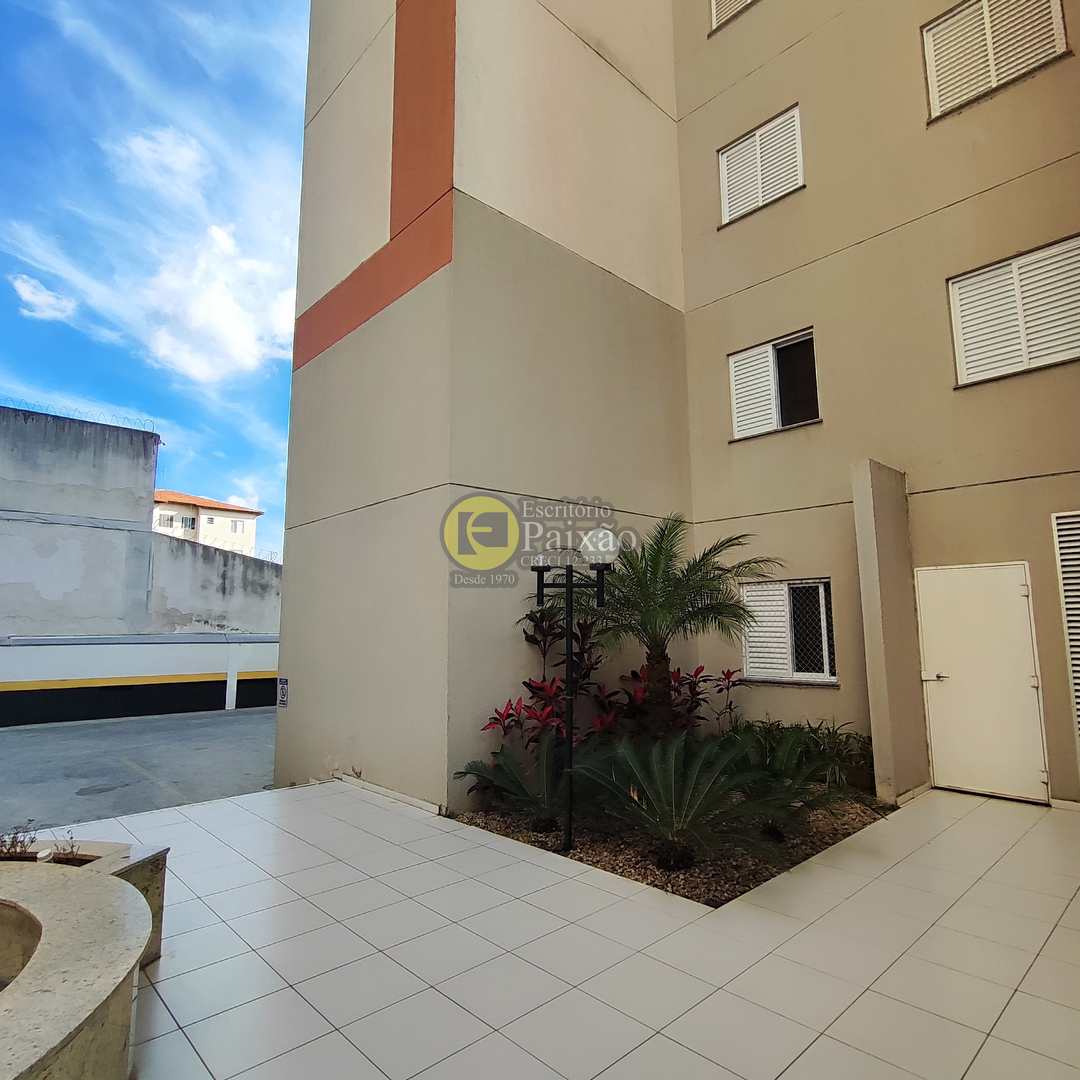 Apartamento à venda com 3 quartos, 65m² - Foto 12