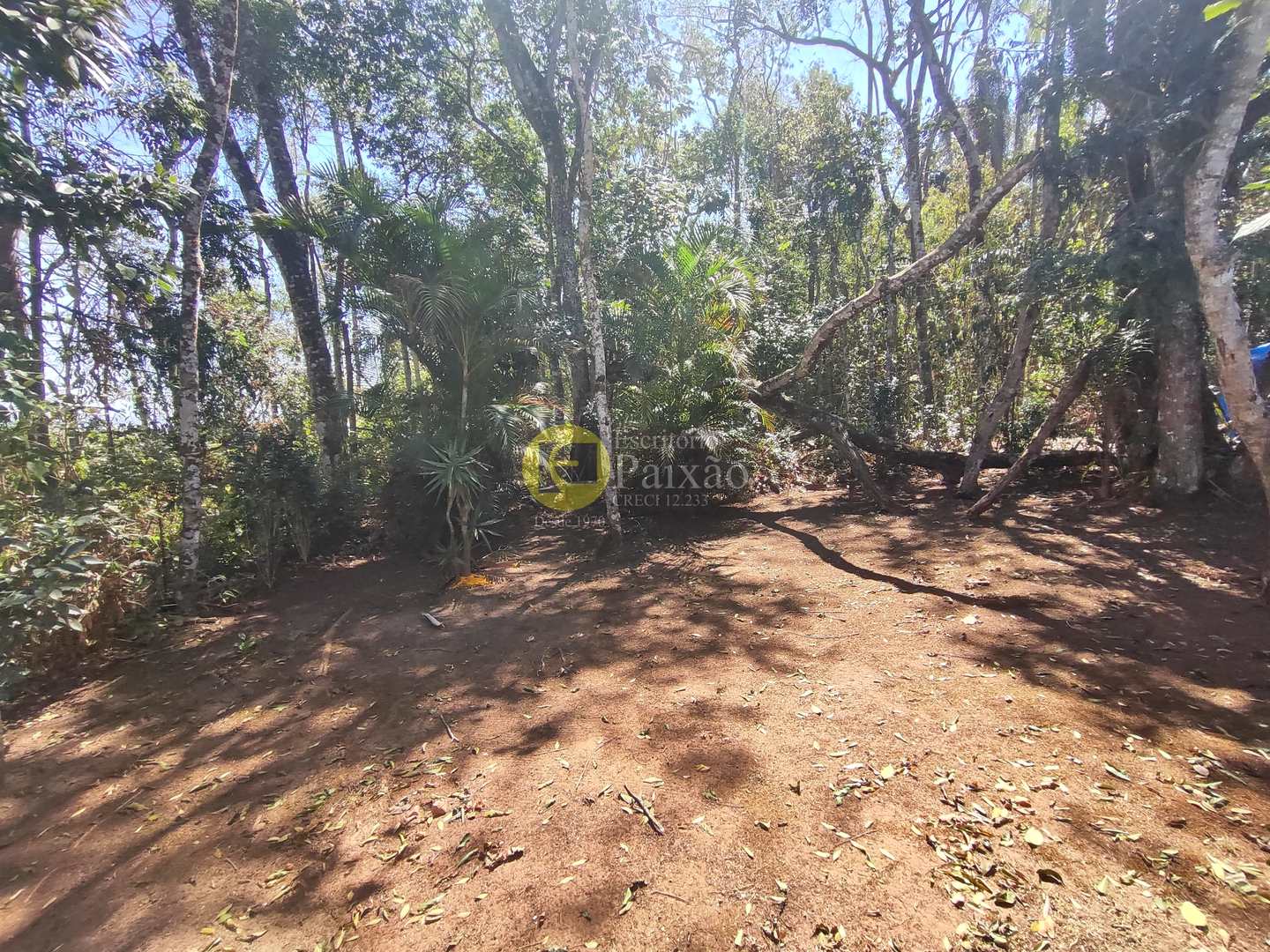 Sobrado, 3 quartos, 300 m² - Foto 12