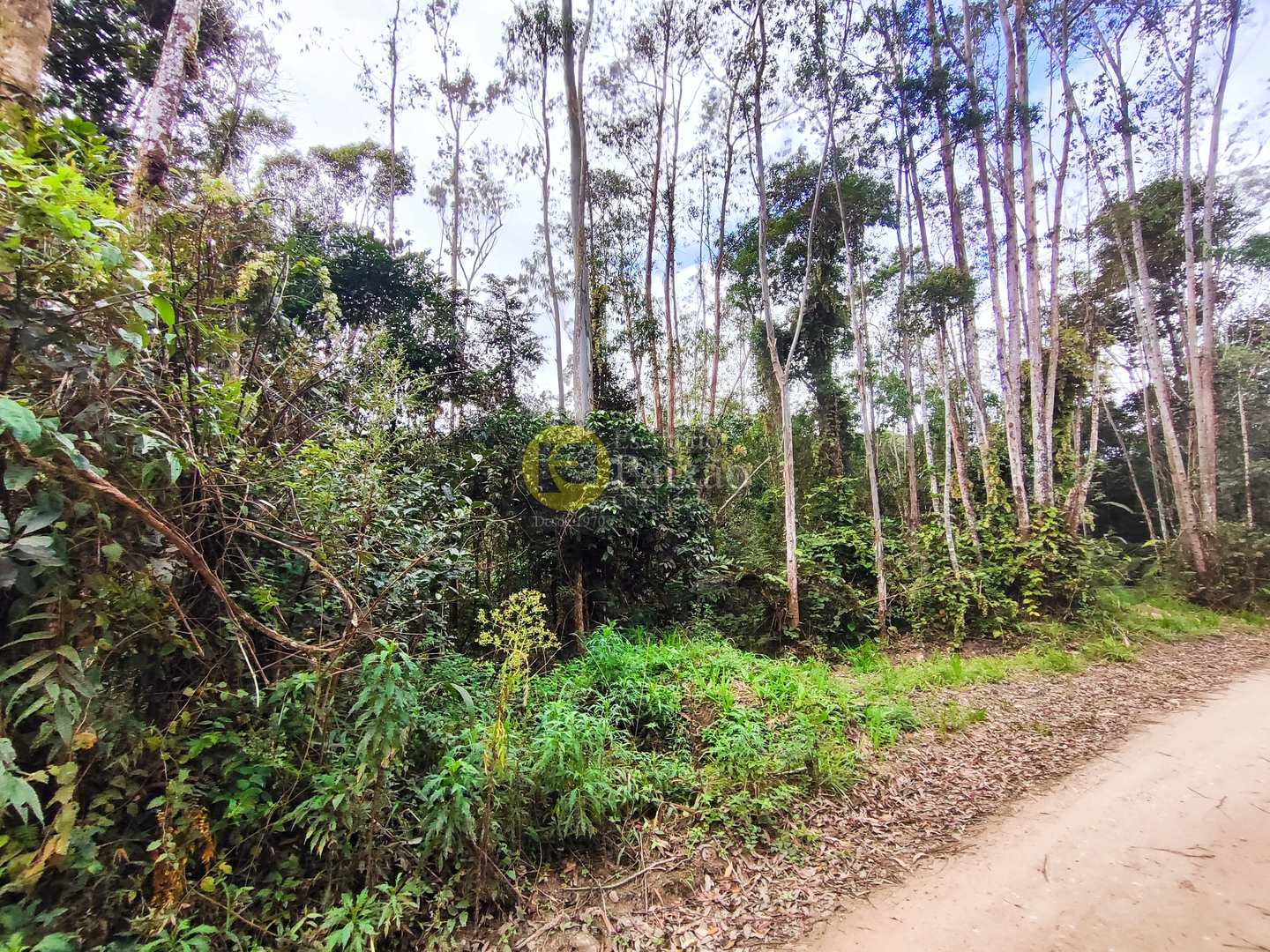 Sítio, 6 quartos, 31 hectares - Foto 37