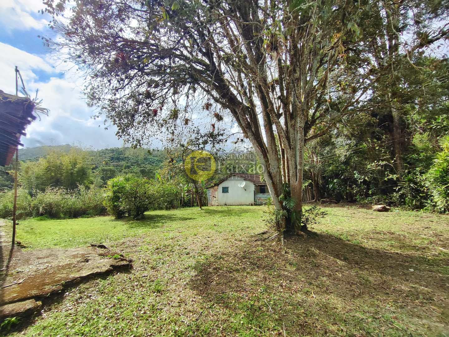 Sítio, 6 quartos, 31 hectares - Foto 26