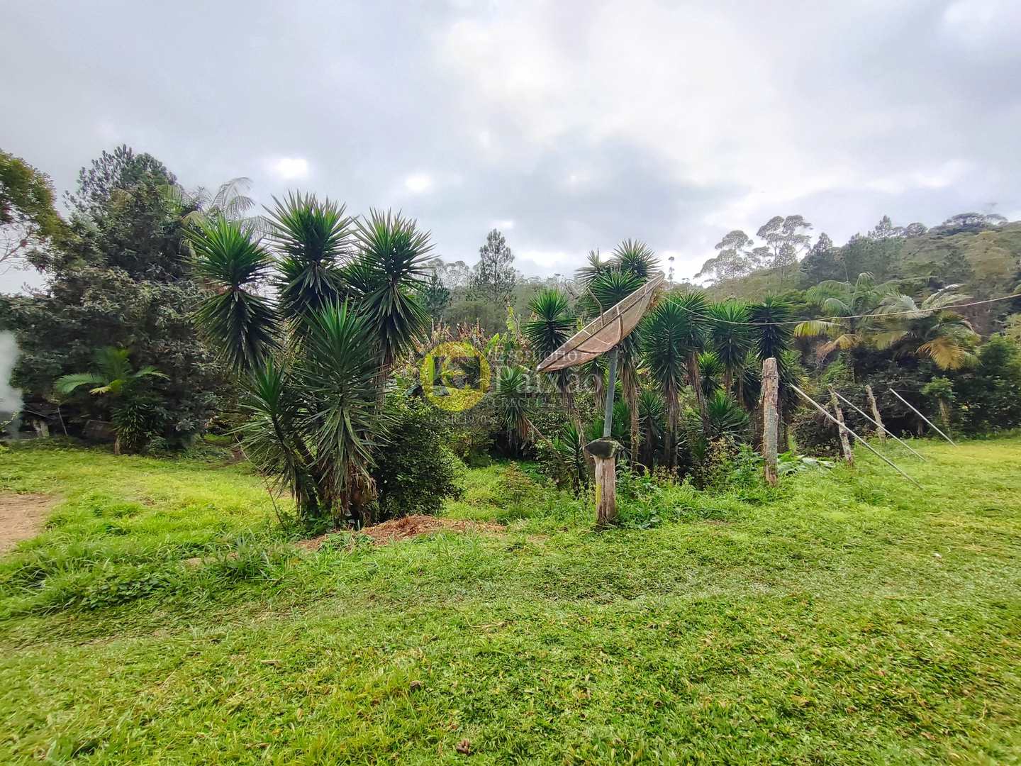 Sítio, 6 quartos, 31 hectares - Foto 8