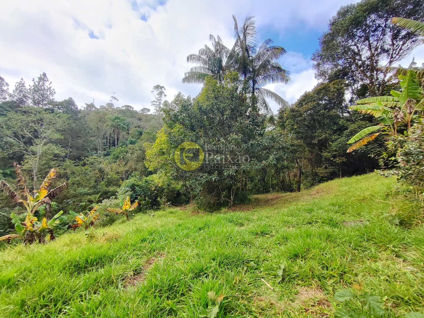 Sítio, 6 quartos, 31 hectares - Foto 12