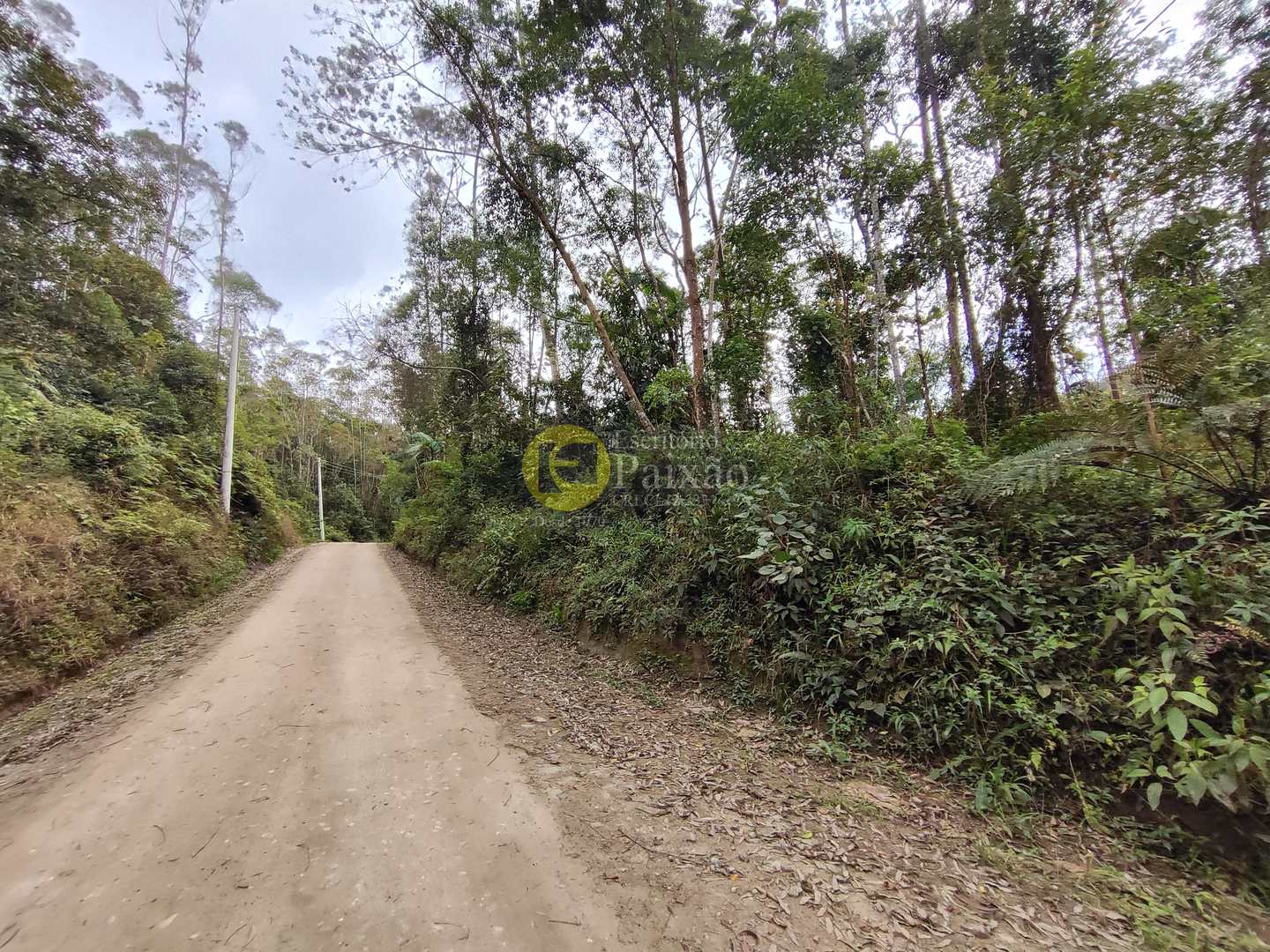 Sítio, 6 quartos, 31 hectares - Foto 35