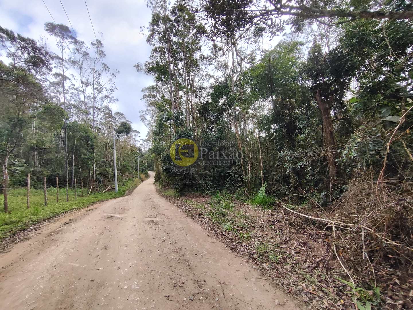 Sítio, 6 quartos, 31 hectares - Foto 36