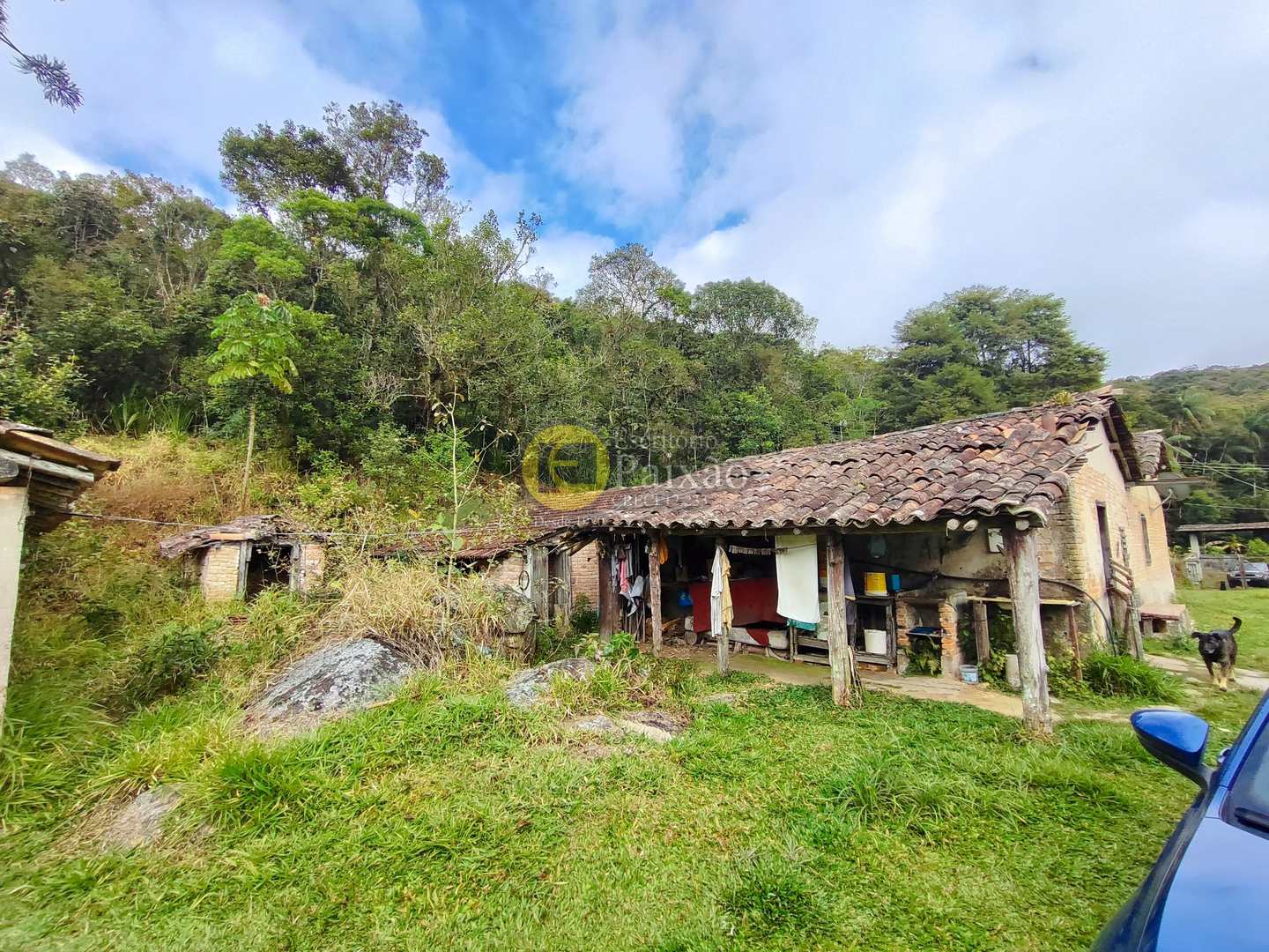 Sítio, 6 quartos, 31 hectares - Foto 10