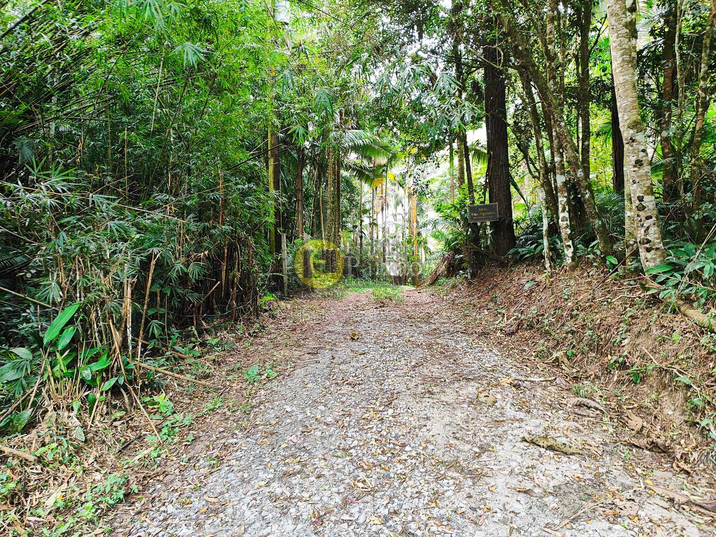 Sítio, 6 quartos, 31 hectares - Foto 16