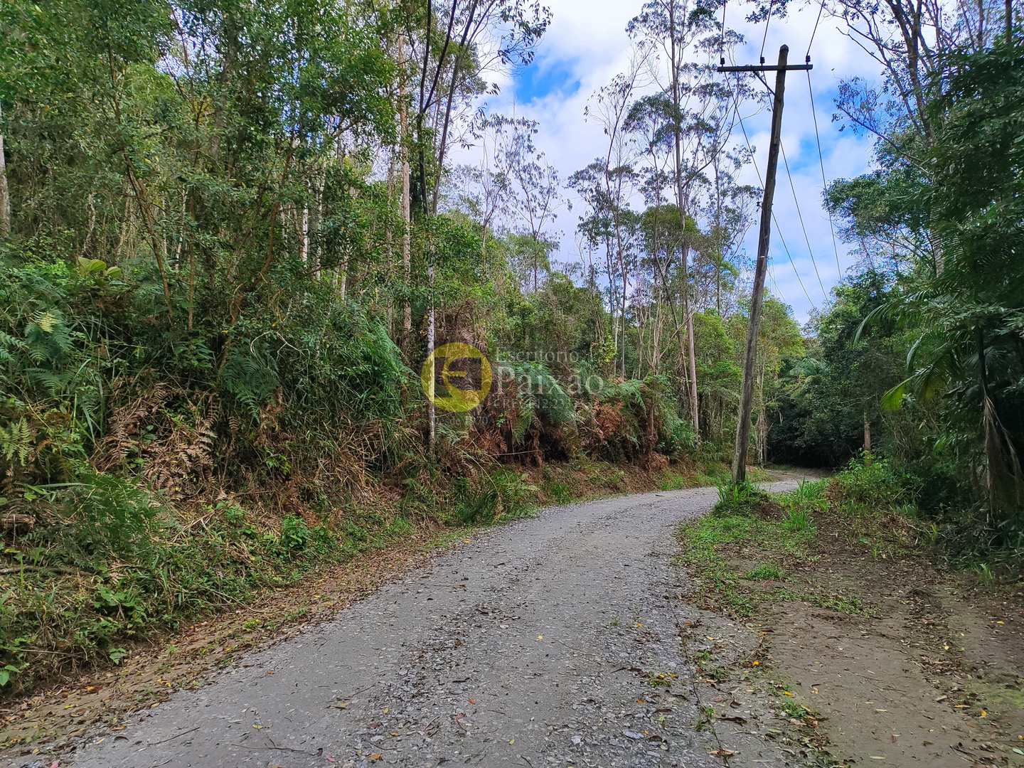 Sítio, 6 quartos, 31 hectares - Foto 15