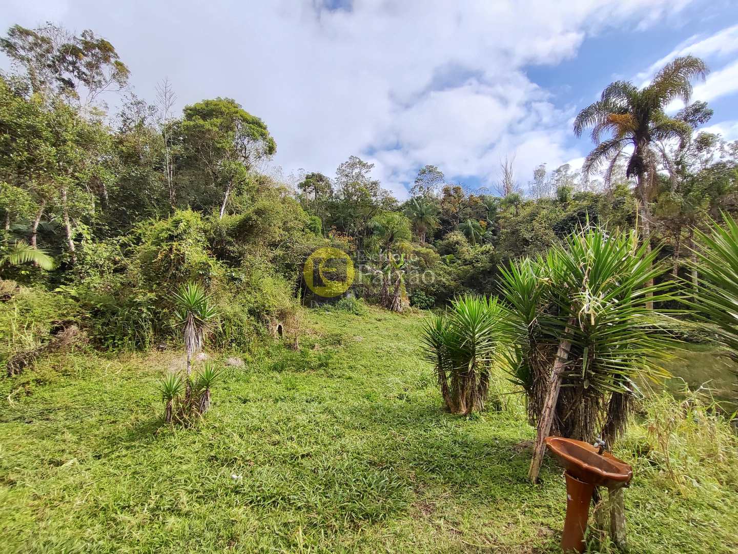 Sítio, 6 quartos, 31 hectares - Foto 23