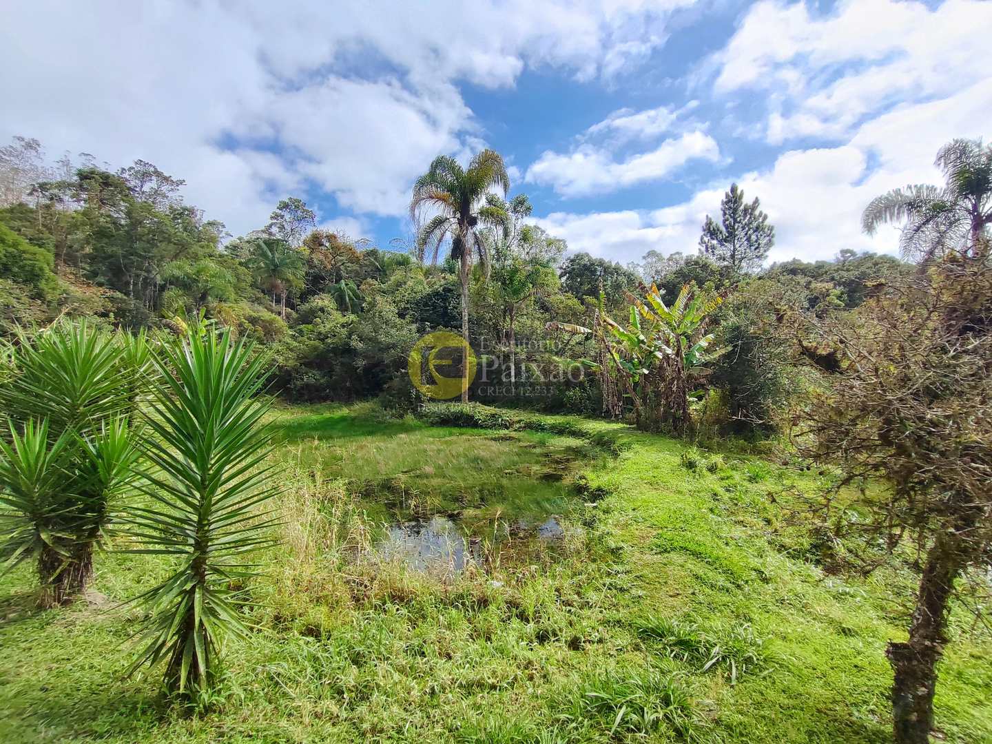 Sítio, 6 quartos, 31 hectares - Foto 22