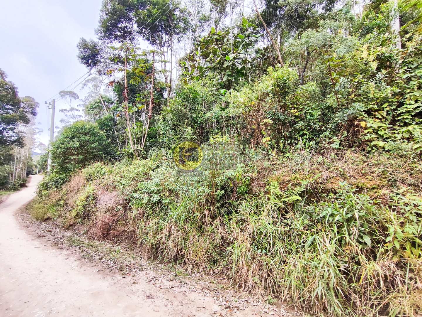 Sítio, 6 quartos, 31 hectares - Foto 34