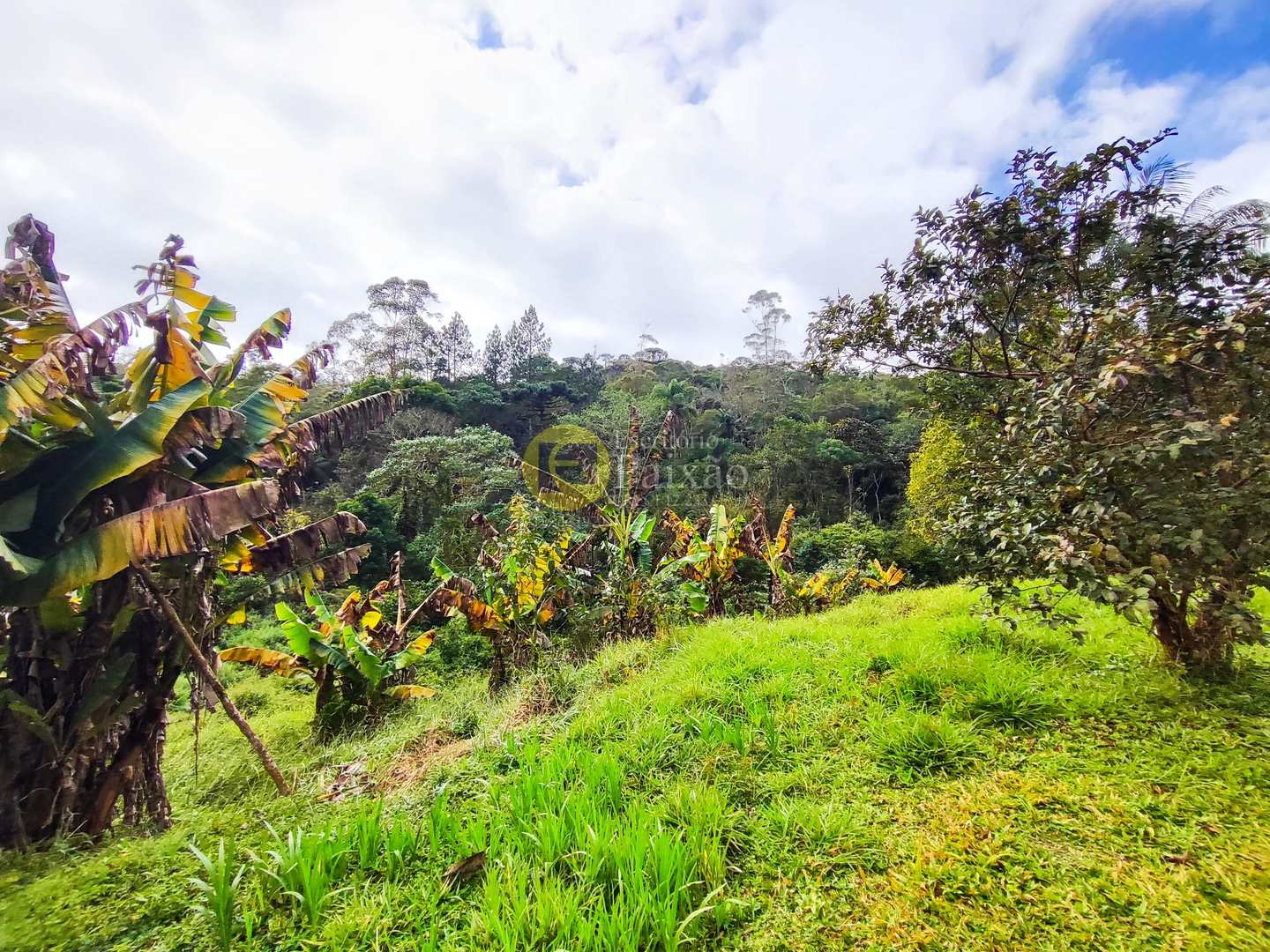 Sítio, 6 quartos, 31 hectares - Foto 11