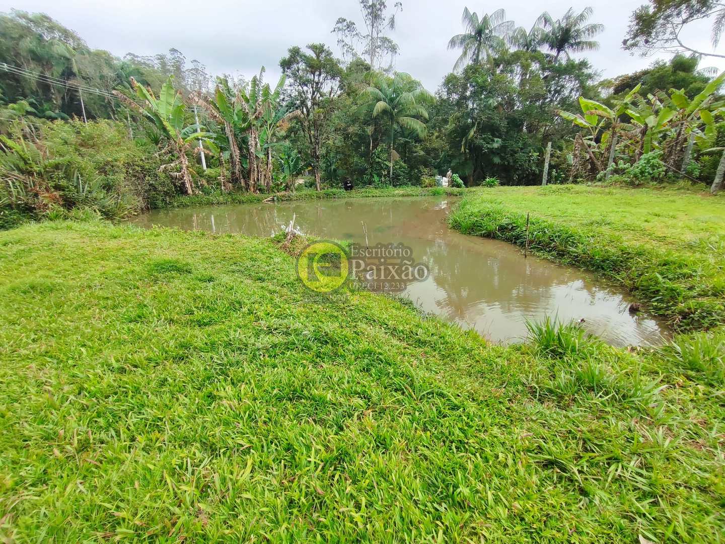 Sítio, 6 quartos, 31 hectares - Foto 4