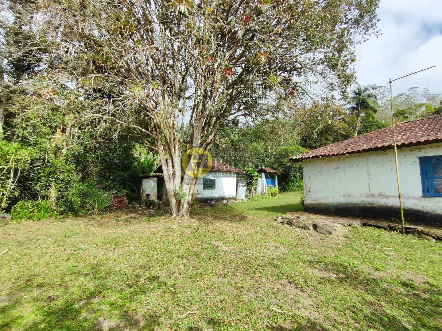 Sítio, 6 quartos, 31 hectares - Foto 19