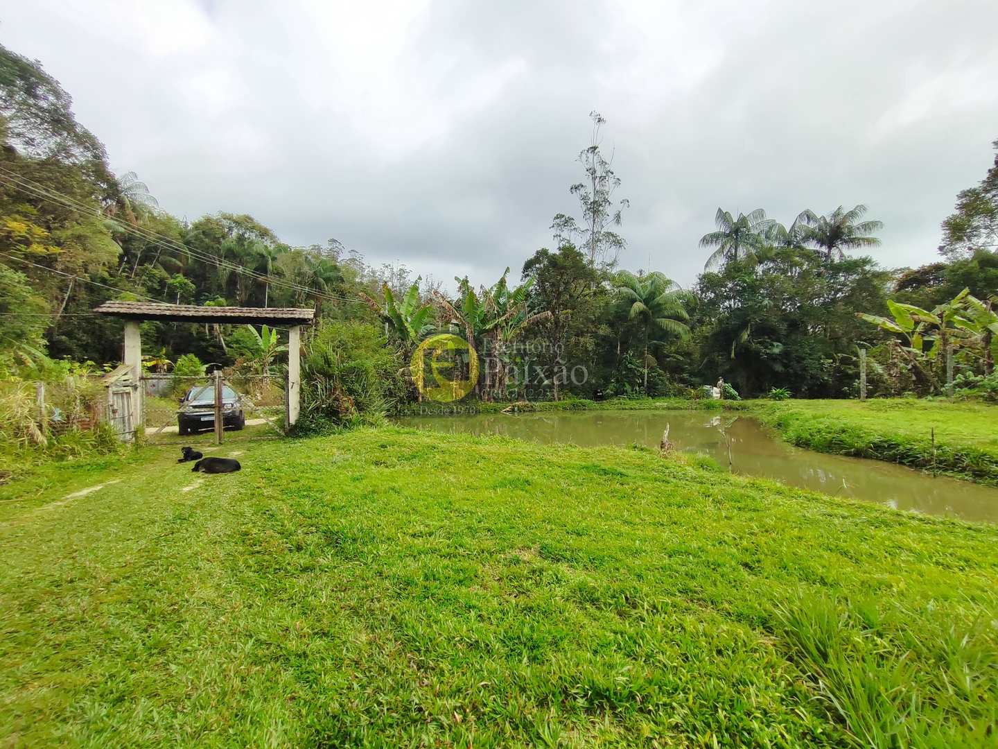 Sítio, 6 quartos, 31 hectares - Foto 2