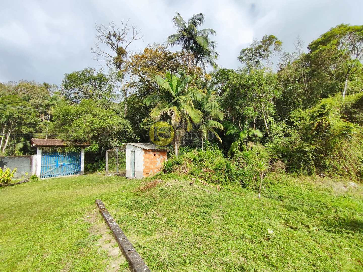 Sítio, 6 quartos, 31 hectares - Foto 24