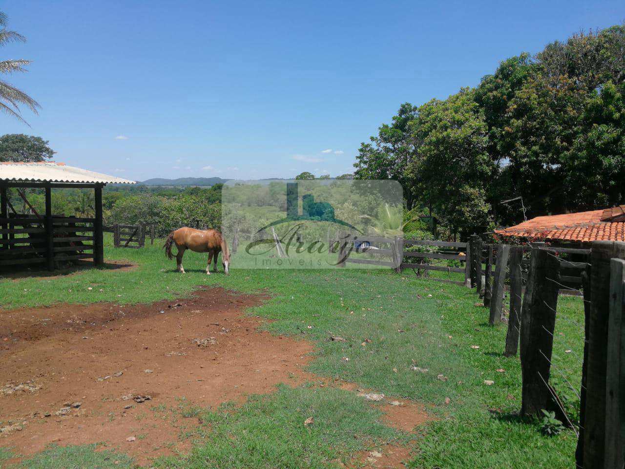 Fazenda à venda com 1 quarto, 455m² - Foto 24