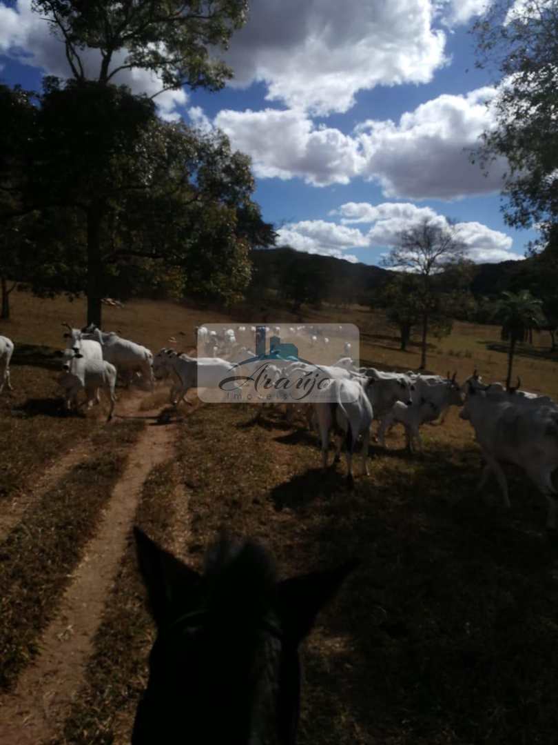 Fazenda à venda com 1 quarto, 455m² - Foto 5