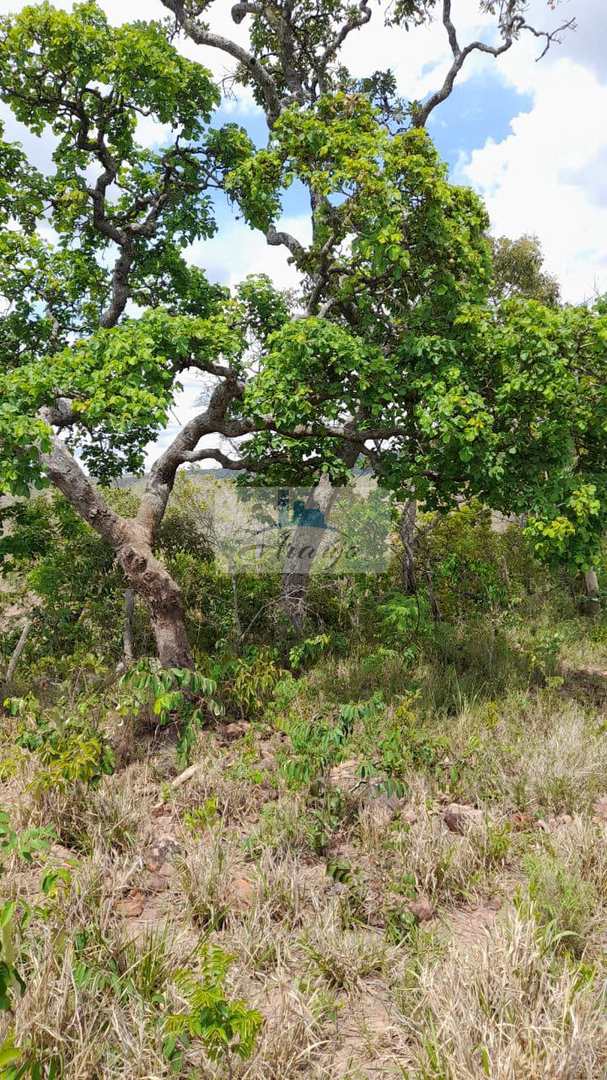 Fazenda à venda com 1 quarto, 144m² - Foto 7