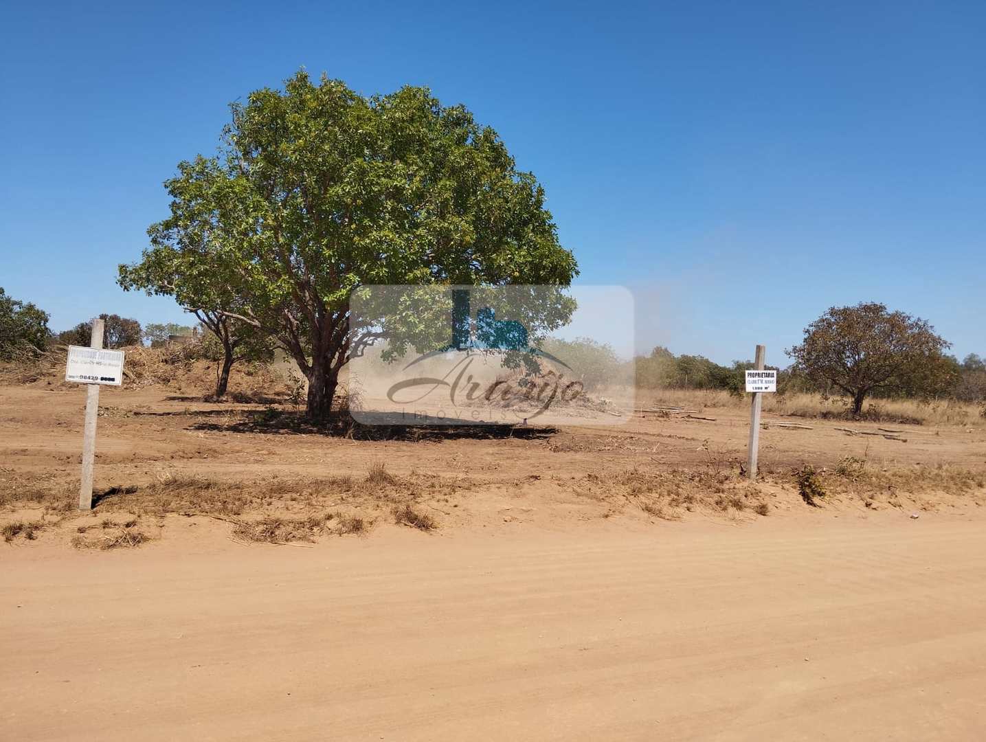 Fazenda à venda, 1000m² - Foto 10