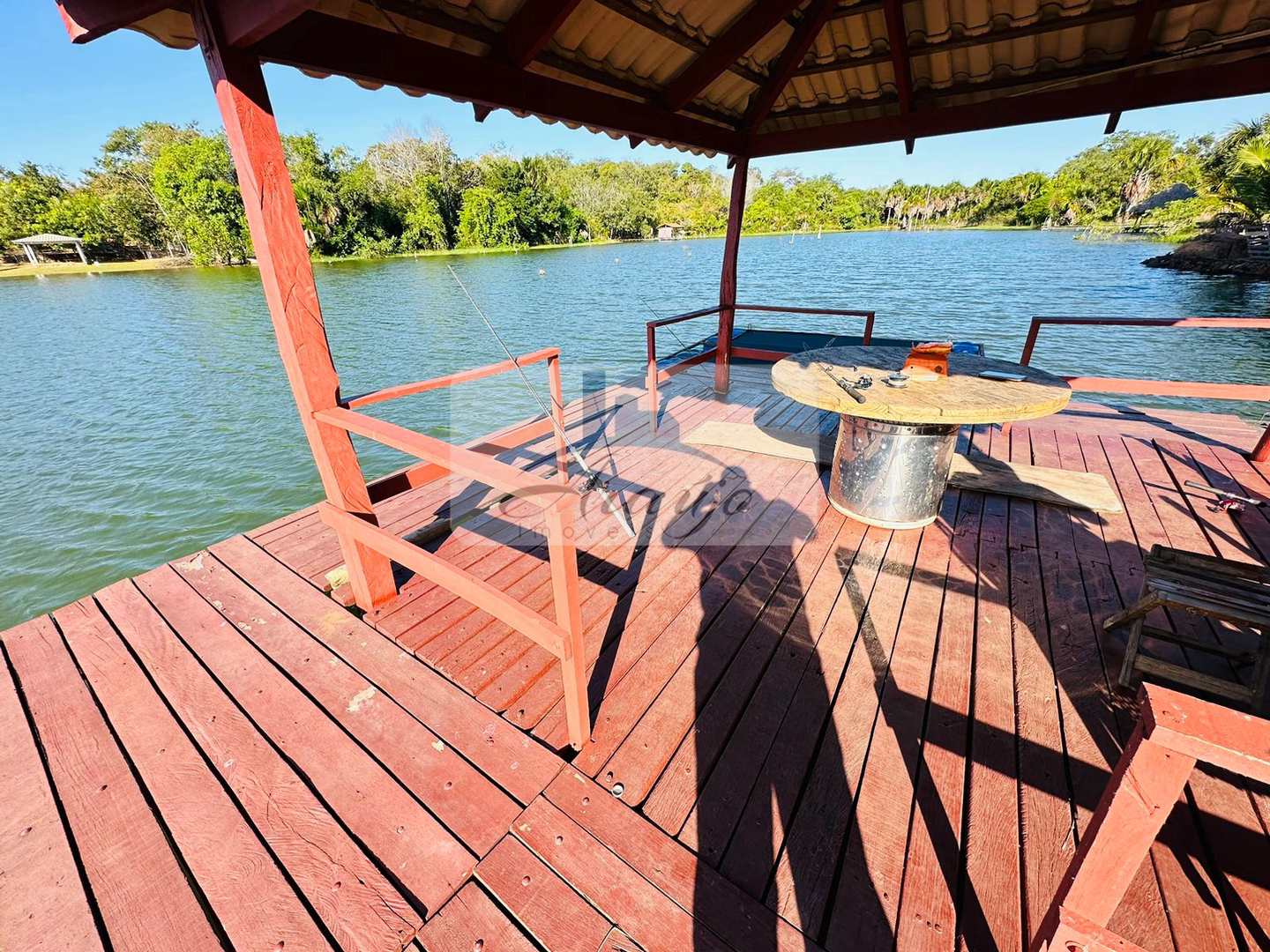 Fazenda à venda com 4 quartos, 26000m² - Foto 5