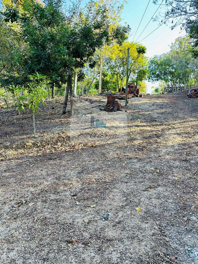 Fazenda à venda com 4 quartos, 26000m² - Foto 20