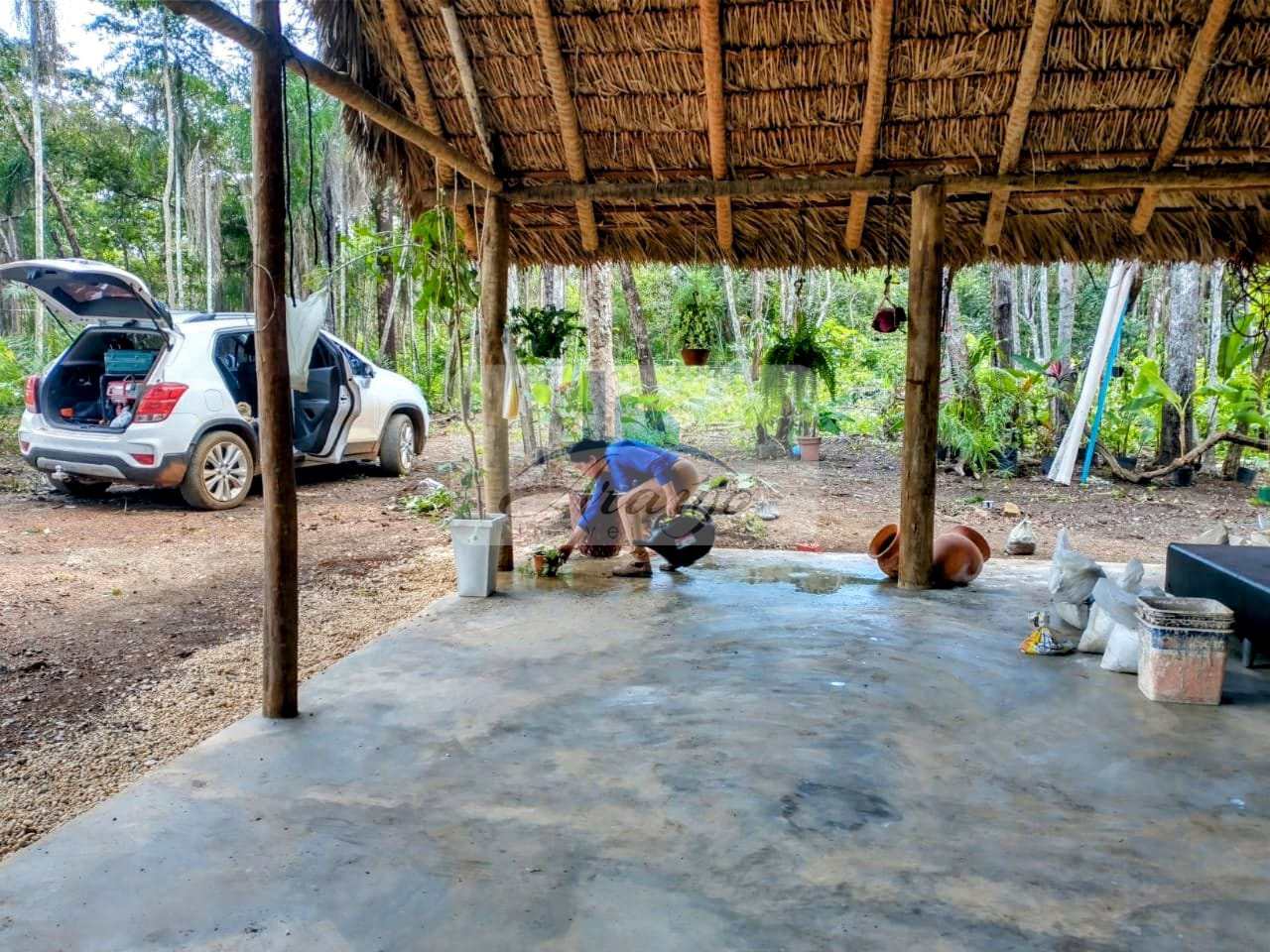 Fazenda à venda com 1 quarto, 7m² - Foto 5