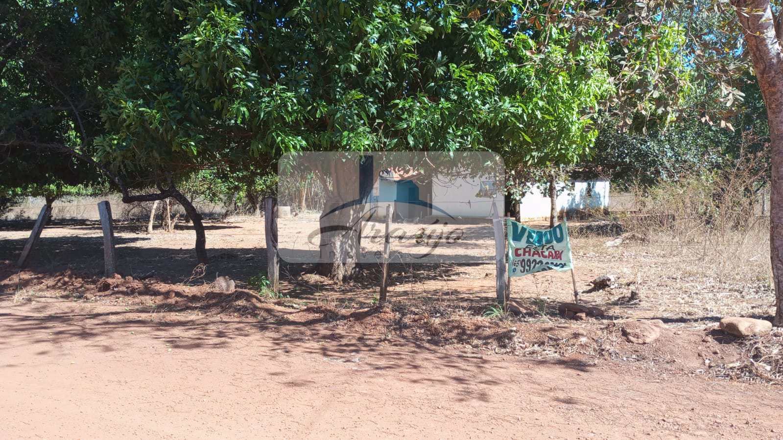 Fazenda à venda com 1 quarto, 7m² - Foto 3