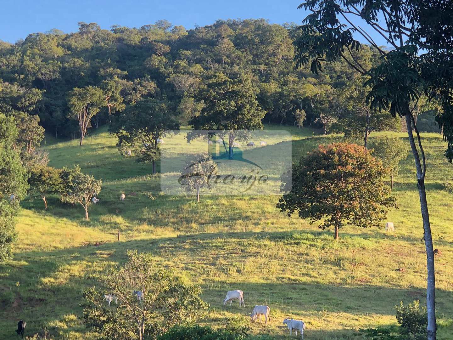 Fazenda à venda com 2 quartos, 90m² - Foto 15