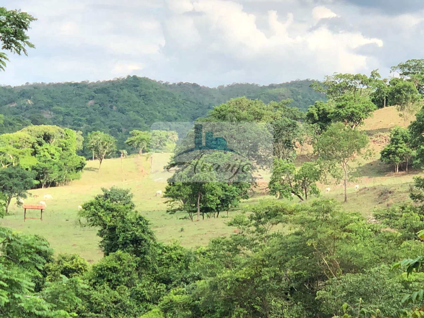 Fazenda à venda com 2 quartos, 90m² - Foto 18