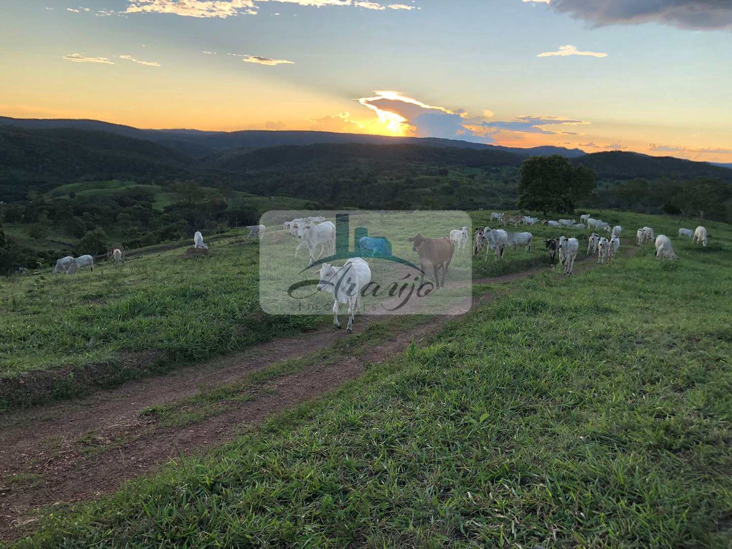 Fazenda à venda com 2 quartos, 90m² - Foto 12