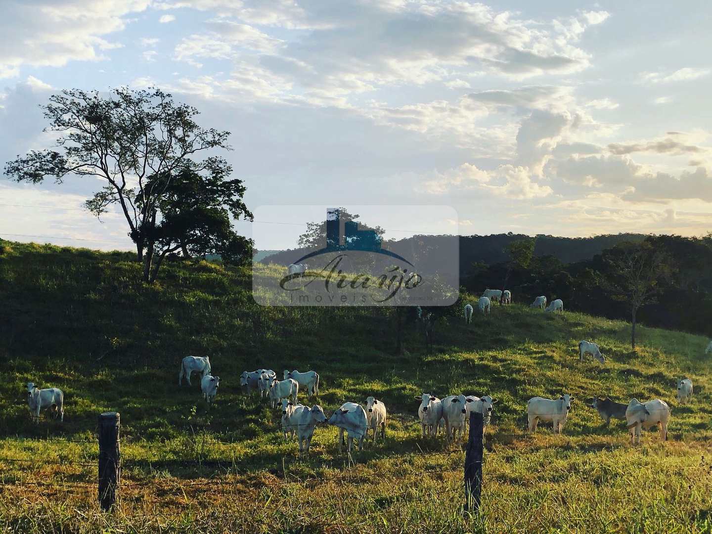 Fazenda à venda com 2 quartos, 90m² - Foto 17