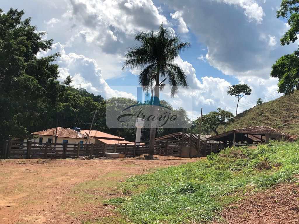 Fazenda à venda com 2 quartos, 90m² - Foto 4