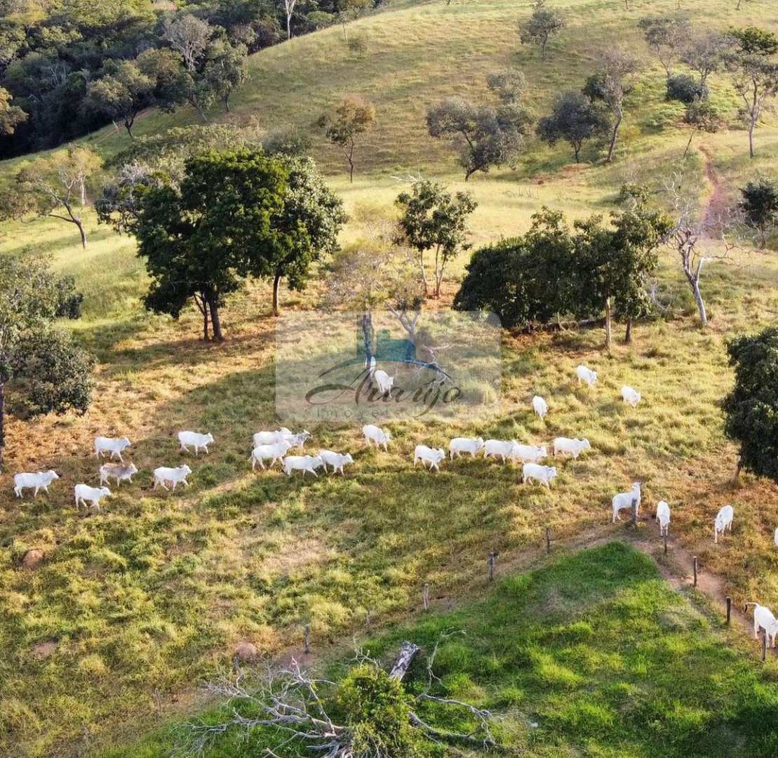 Fazenda à venda com 2 quartos, 90m² - Foto 6