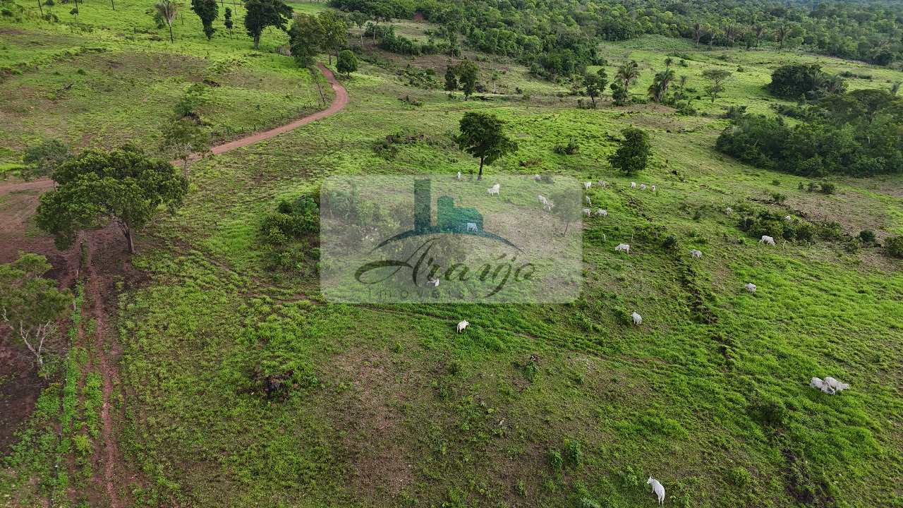 Fazenda à venda com 2 quartos, 30m² - Foto 8